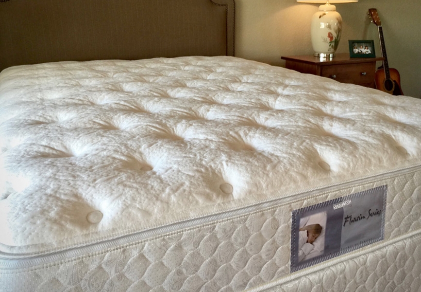 Plush Top Softside Waterbed w/ ER600SXE Waveless Mattress